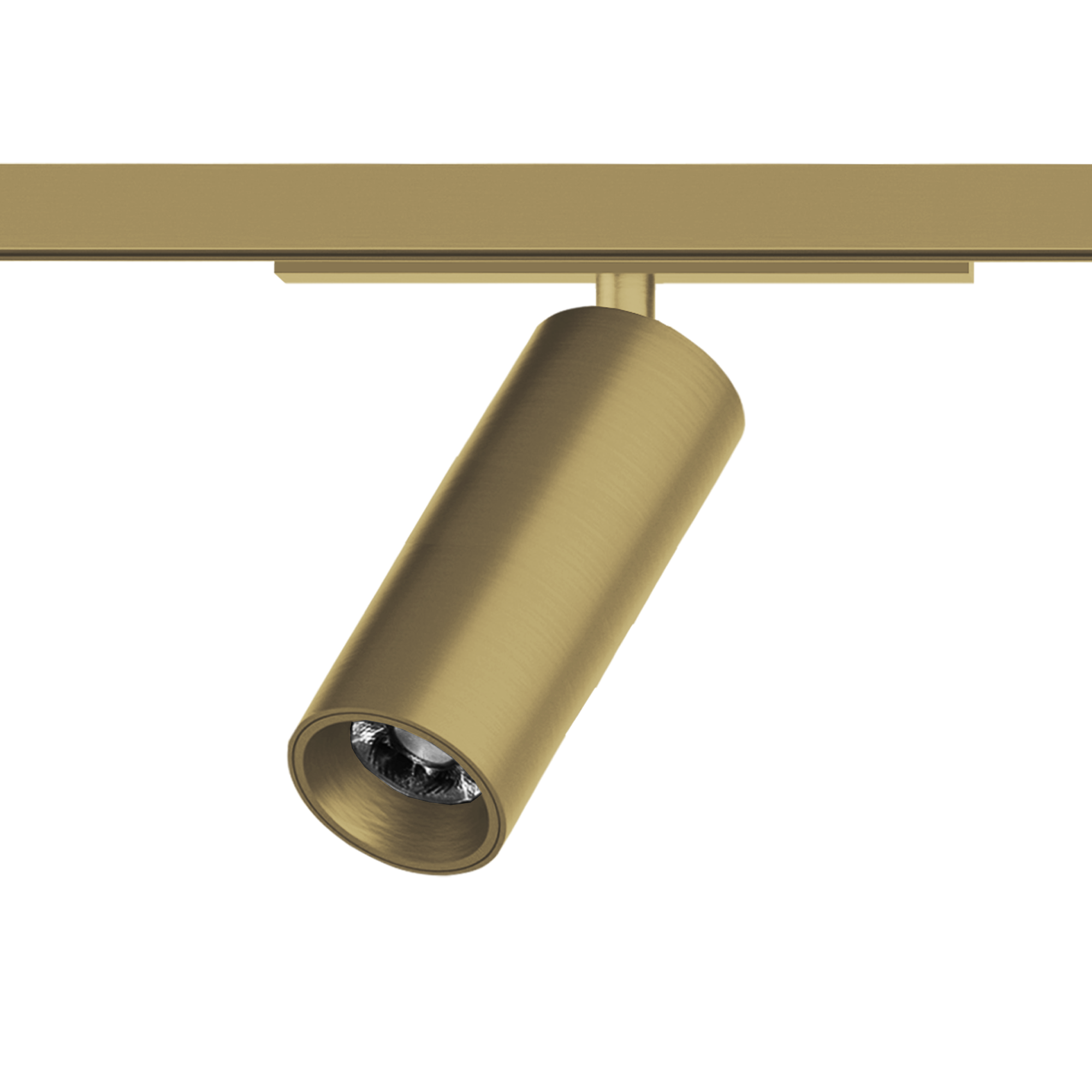 CAPRI 10W GOLDEN